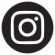insta icon